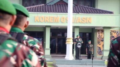 Hari Juang TNI