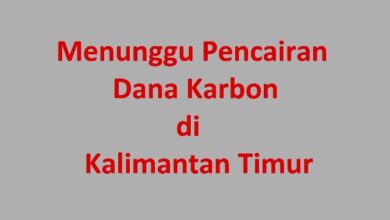 dana karbon di Kalimantan Timur