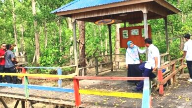 Ekowisata Mangrove dan UMKM di Kampung Teluk Semanting