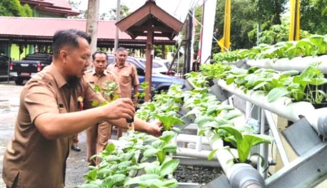 Urban Farming Berau