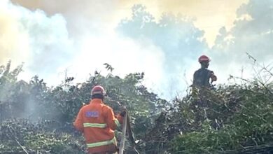 Sistem Penanggulangan Kebakaran Hutan dan Lahan