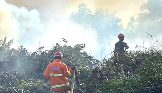 Sistem Penanggulangan Kebakaran Hutan dan Lahan