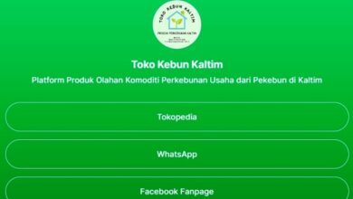 Toko Kebun Kaltim