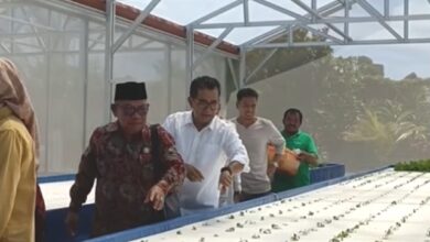 Greenhouse Hidroponik Baznas