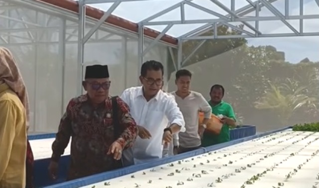 Greenhouse Hidroponik Baznas