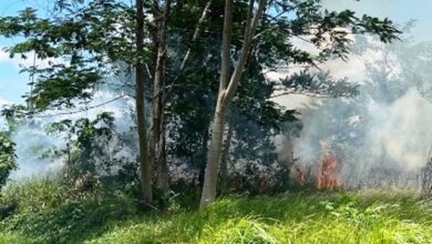 kebakaran hutan dan lahan di kaltim