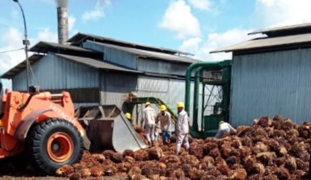 pabrik sawit di Kalimantan Timur