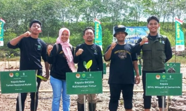 penanaman mangrove