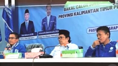 Mahyudin DPD RI