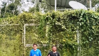 tower BTS BAKTI di Mahakam Ulu