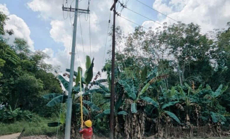 Desa Kelumpang
