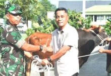 Kurban Korem 091 ASN