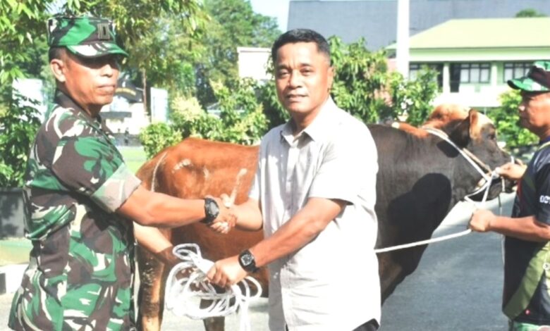 Kurban Korem 091 ASN