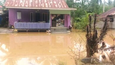 banjir di IKN