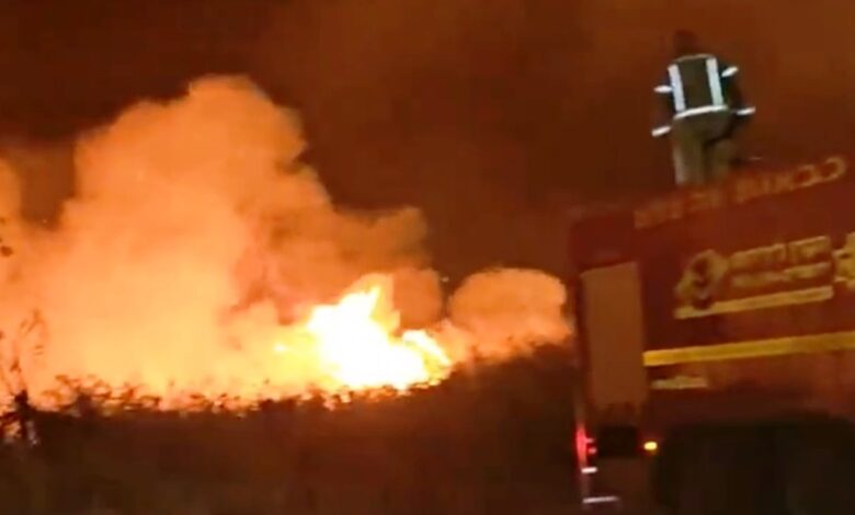 kebakaran hutan di Israel Utara