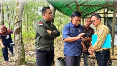 kebun koleksi Disbun Kaltim