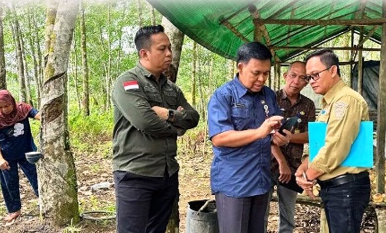 kebun koleksi Disbun Kaltim