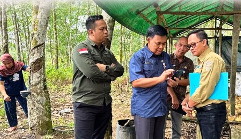 kebun koleksi Disbun Kaltim