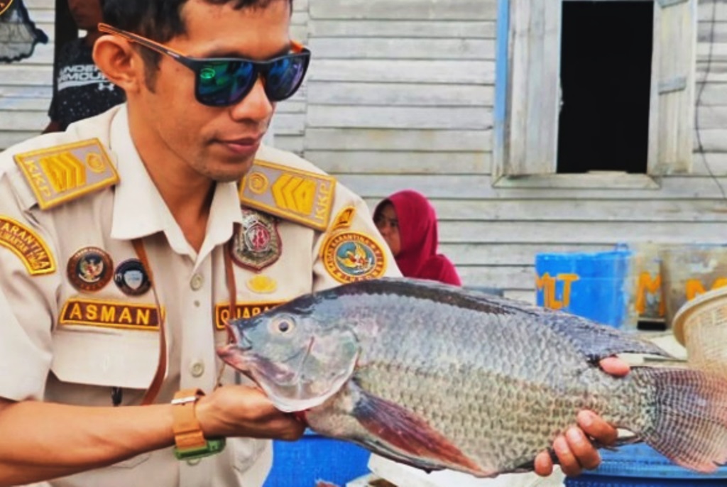 pemantauan ikan invasif di Kukar