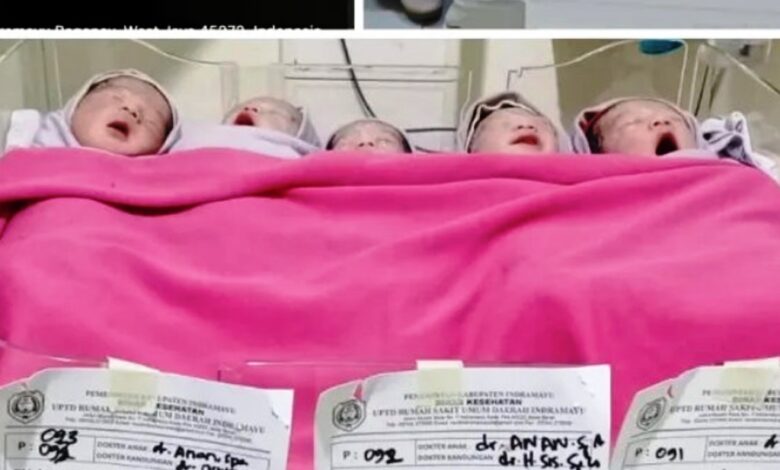 bayi kembar lima di Indramayu