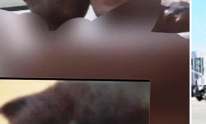 link video audrey davis