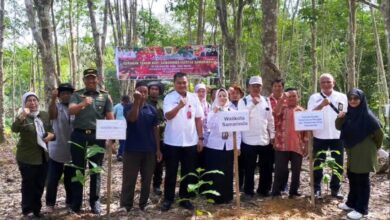 Gerakan Tanam Kopi Serentak