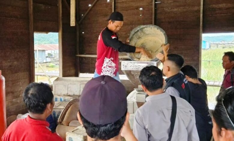 produksi pakan ikan lokal