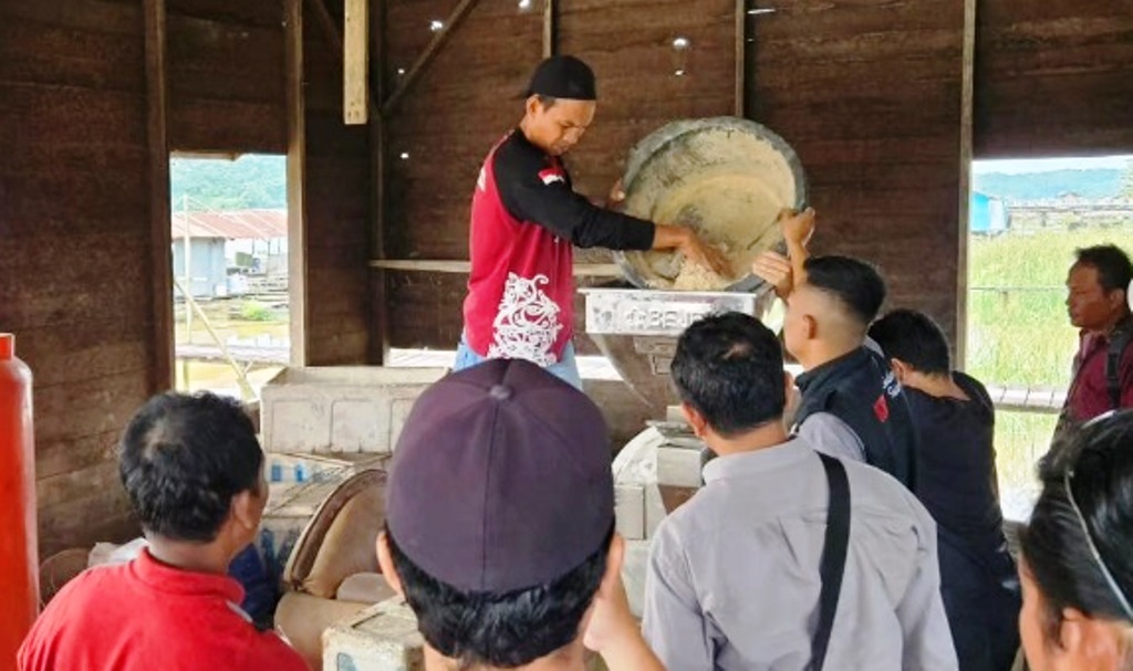 produksi pakan ikan lokal