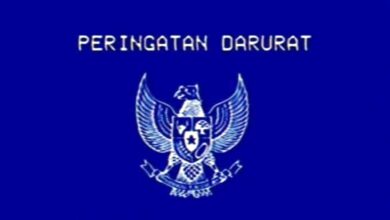 peringatan darurat garuda biru