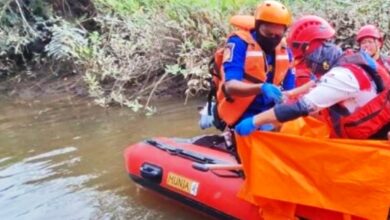 korban serangan buaya