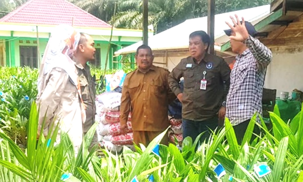 bantuan bibit kelapa sawit PPU