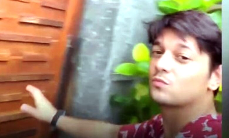 Artis AA