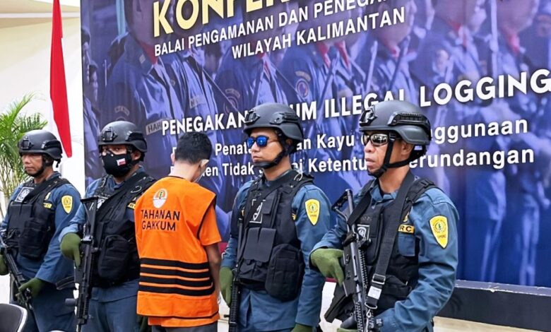 kasus illegal logging kalimantan