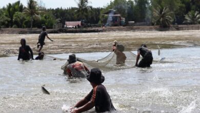 petambak udang pegat batumbuk berau