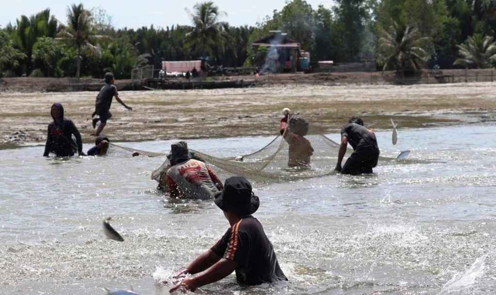 petambak udang pegat batumbuk berau