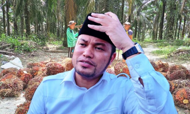 visi sawit rudy mas'ud