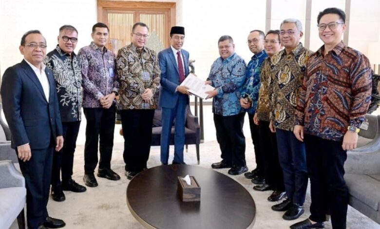 10 capim KPK 2024-2029