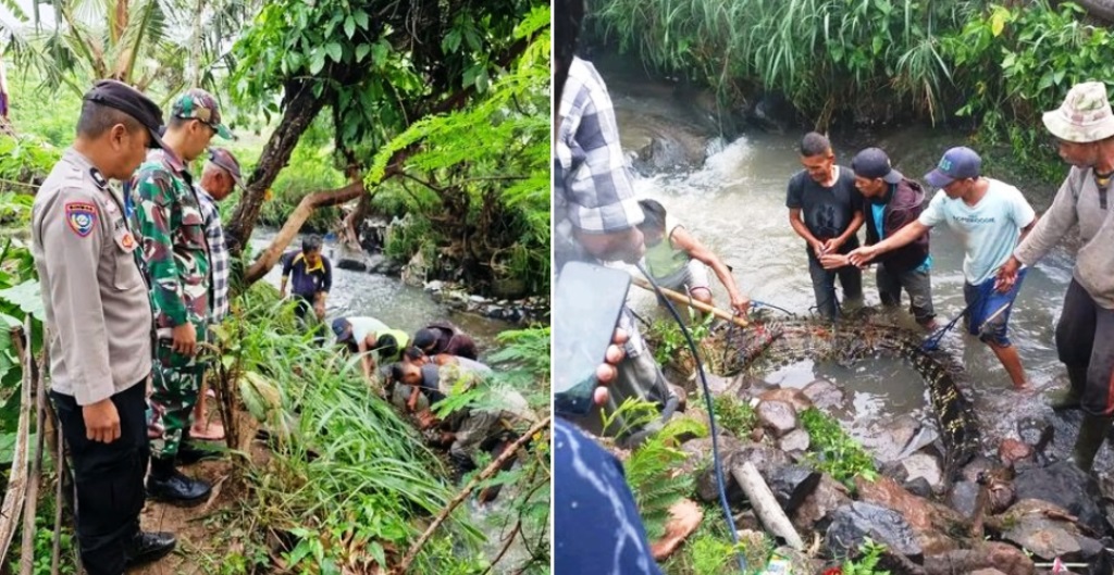 buaya lepas Cianjur