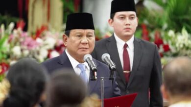 Wakil Menteri Kabinet Merah Putih,