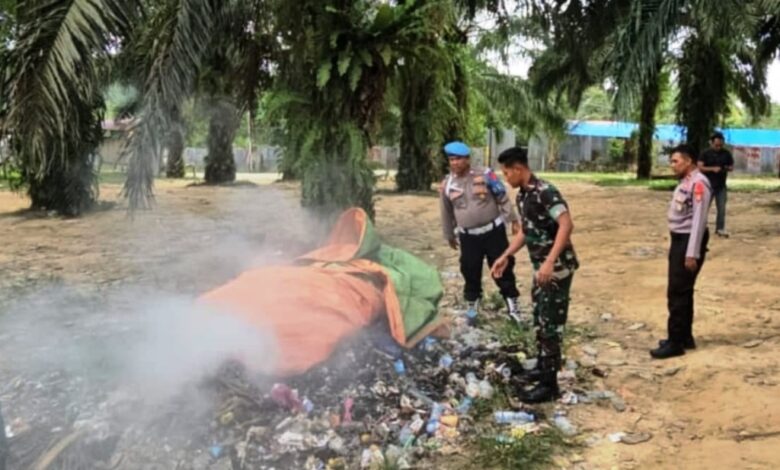 arena sabung ayam