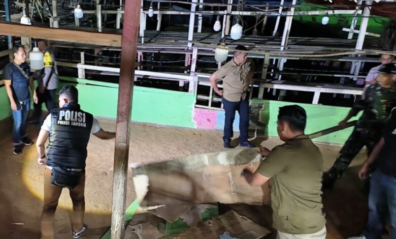 Razia Judi Sabung Ayam