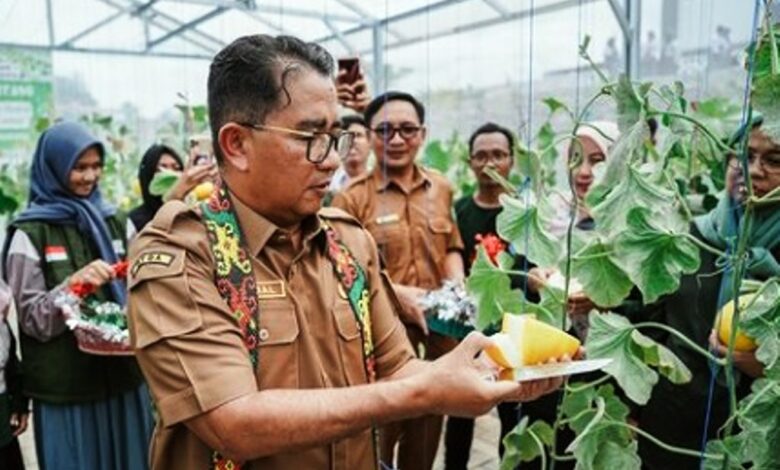 greenhouse sekolah