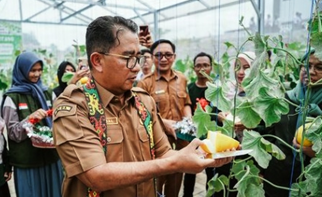 greenhouse sekolah