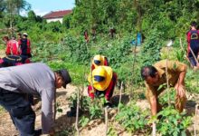 sosialisasi ketahanan pangan Berau