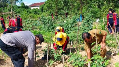 sosialisasi ketahanan pangan Berau