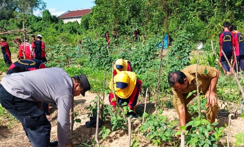 sosialisasi ketahanan pangan Berau