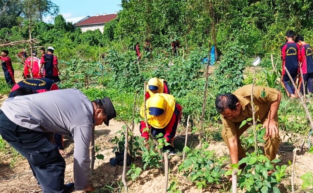 sosialisasi ketahanan pangan Berau