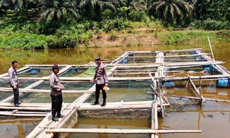 pendataan potensi pangan daerah