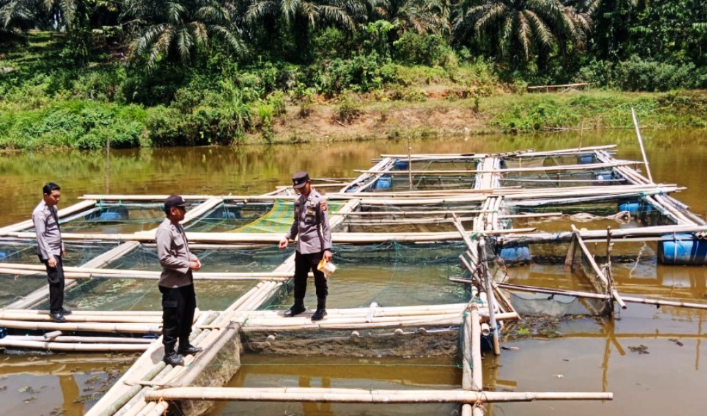 pendataan potensi pangan daerah