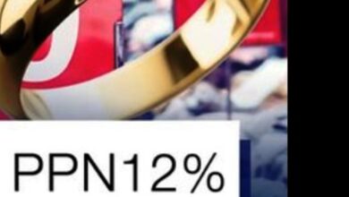 kenaikan PPN 12 %